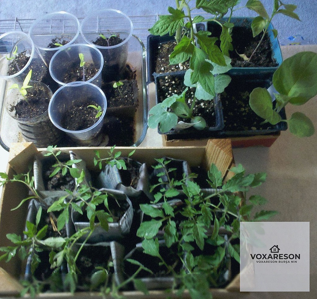 Hayalinizdeki Mekana Giden Yol: Voxareson Tasarım Süreci Rehberi - section 2